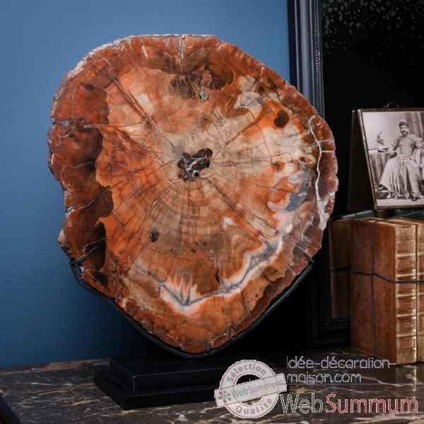 Tranche de bois fossile rouge Objet de Curiosite -PUFO275-1