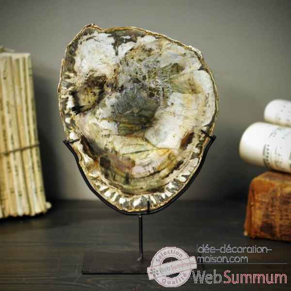 Tranche de bois fossile vert (type huitre) Objet de Curiosite -PUFO171