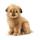 Peluche Norfolk terrier Anima-4126
