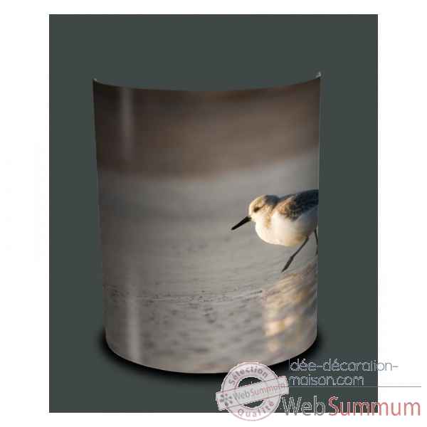 Applique murale oiseaux becasseau sanderling -OI1307APP
