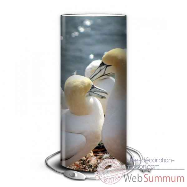 Lampe oiseaux fous australes -OI1358