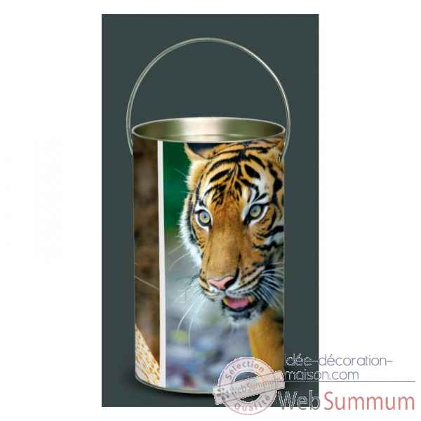 Lanterne animaux sauvages tigre -AS1LAN