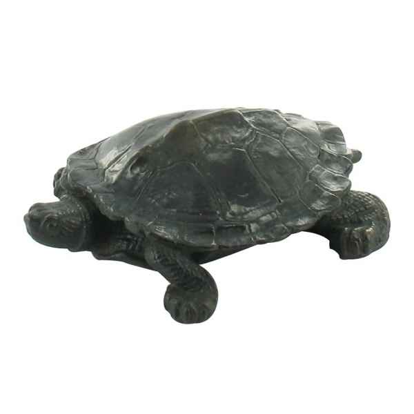 Tortue Rmngp -ZF005717