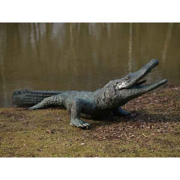 Alligator -B844