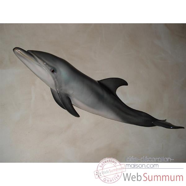 Trophee mammifere marin Cap Vert Grand dauphin -TR026
