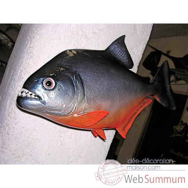 Trophee poisson d\'eau douce tropicale Cap Vert Piranha -TR021