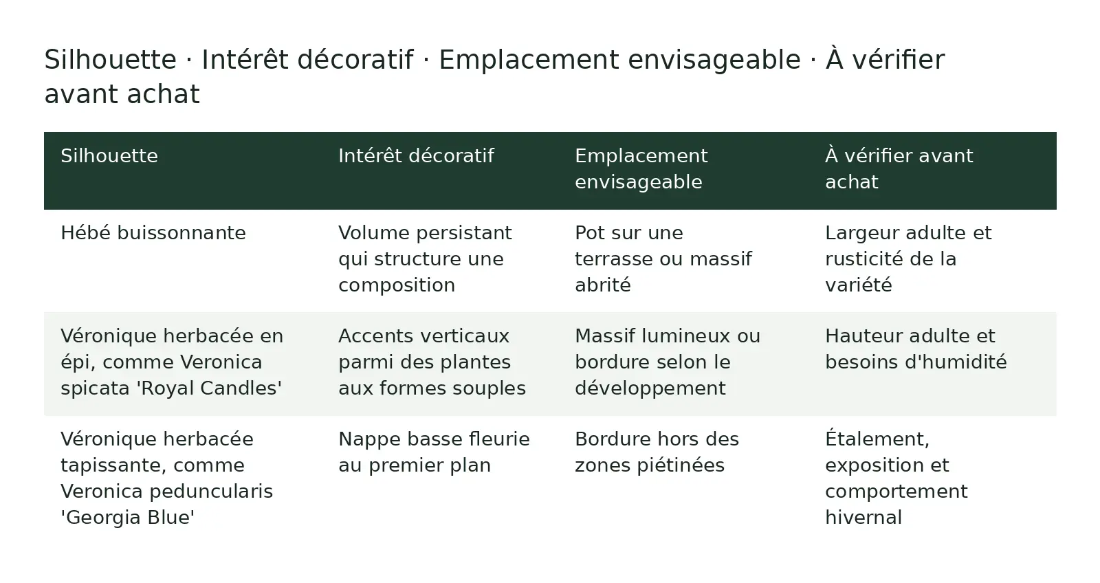 Tableau comparatif : Silhouette ; Intérêt décoratif ; Emplacement envisageable ; À vérifier avant achat