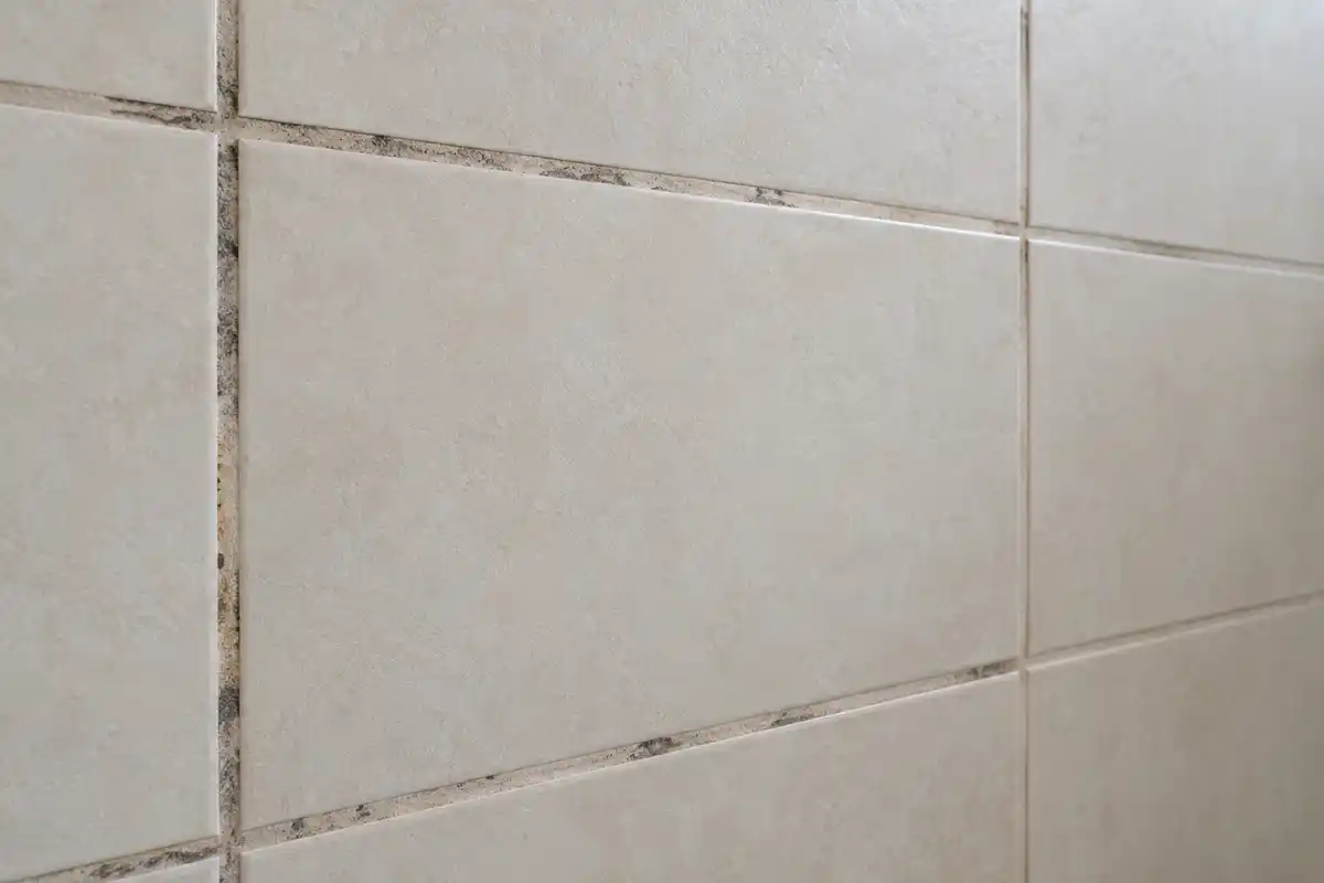Des traces irrégulières marquent plusieurs joints de carrelage ; leur aspect invite à observer sans établir la cause des taches.